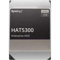 Synology HAT5300