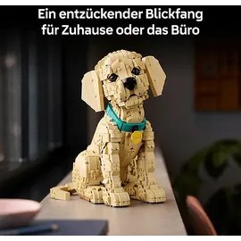 LEGO ICONS Golden Retriever Welpe 11384