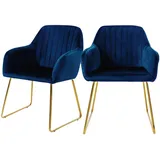 ML-Design Esszimmerstühle 2er Set Ergonomische aus Samt Blau