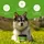 Wolfsbacher Natur Kot & Grasfrei Leckerli 125 St.