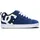 DC Shoes Court Graffik Herren Navy/White 42