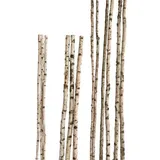 iWerk Birkenstamm 90 cm ø 4-6 cm