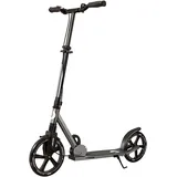 Best Sporting Scooter 250er - Silber/Schwarz