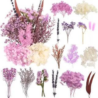 LAUMOE Getrocknete Blumen, Trockenblumen, Trockenblumen Zum Basteln Trockenblumen Set Mini Trockenblumen für Startseite Kunst Basteln Dekoration (Lila)