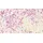 Brunnen Kleber Flaky Glue 50 ml