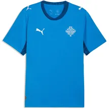 Puma Island Trainingsshirt 2026 blau Herren Gr. XS