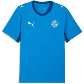 Puma Island Trainingsshirt 2026 blau Herren Gr. XS