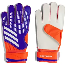 adidas Predator Training Lucid Blue/Solar Red/White 7,5