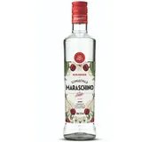 Schladerer Maraschino Likör, einzigartige Kombination aus Maraska Kirschen und Schwarzwälder Sauerkirschen, feingliedrig und intensiv fruchtig (1 x 0.5 l)