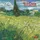 tushita paperart gmbh van Gogh - Colours of the Provence 2027