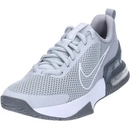 Nike Air Max Alpha Trainer 6 Fitnessschuhe Herren 002 cool grey/white-wolf grey-pure platinum 40.5