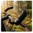 Ergotec EVO Touring L,