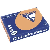Clairefontaine Trophée 160 g/m² 250 Blatt (1102C)