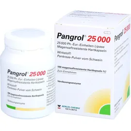 BERLIN-CHEMIE Pangrol 25000