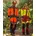 X-treme Air Orange/Grau 62 62