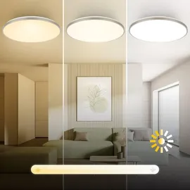 B.K.Licht LED Deckenlampe 1 rund Nickel-matt