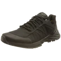 Reebok Astroride Trail GTX 2.0 Damen core black/core black/spacer grey 37
