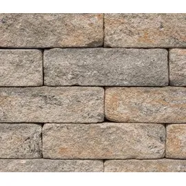 Diephaus Mauerstein SIOLA-ANTIK Muschelkalk 50/25/15 cm