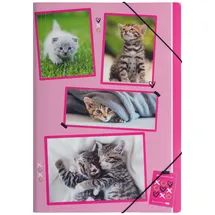 Pagna Sammelmappe A4 xoxo Cats
