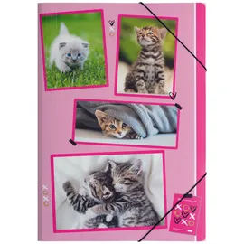 Pagna Sammelmappe A4 xoxo Cats