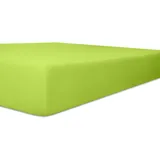 120 x 200 - 130 x 220 cm limone
