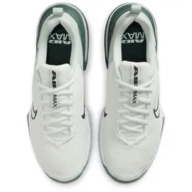 Nike Air Max Alpha Trainer 6 Herren Summit White/Seaweed/Light Silver 45,5