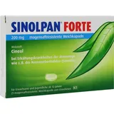 Engelhard Sinolpan forte 200 mg