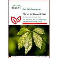 SAFLAX - Heilpflanzen - Pflanze der Unsterblichkeit - 30