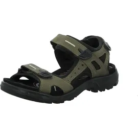 ECCO Offroad Herren Khaki/Schwarz 47