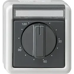 GIRA Zeitschalter gr 032130