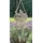 Ambiente Haus Gartenstecker Willkommen Schild mit Vogel 24 x 34 cm Grau