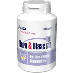 GIGI VET Harn & Blase 90 St
