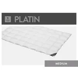 SPESSARTTRAUM Platin Medium 155 x 220 cm
