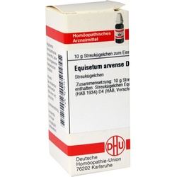 Equisetum Arv D 4 10 G