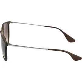 Ray Ban Erika RB4171 865/13 54-18 havana-gunmetal/brown gradient