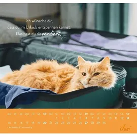 Groh Wandkalender Einfach mal abhängen 2027