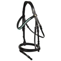 Hans Melzer Horse Equipment Hans Melzer Trense Saison 2024 englisch kombiniert powder green WB EXTRA (KB-Kaltblut)