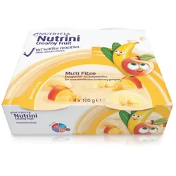 Nutrini Creamy Fruit Sommerfrüchte 4X100 g 4X100 g
