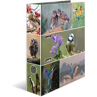 Herma Ordner A4 Vögel Set, 10 Stück, 7 cm