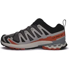 Salomon XA Pro 3D V9 Herren Castlerock/Black/Burnt Ochre 44