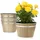 Vevor Whiskyfass 30 x 21 cm Braun