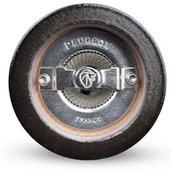 Peugeot Fidji Salzmühle Schwarz, Edelstahl
