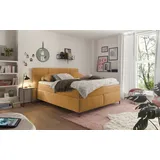 Set One by Musterring Boxspringbett Fairfield 160 x 200 cm Stoff Gelb Mustard