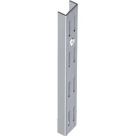 diy element-system gmbh Wandschiene 10001-00060 1500 mm