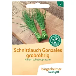 Bingenheimer Saatgut Schnittlauch Grobröhrig