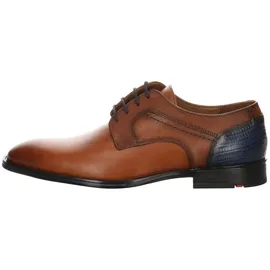 LLOYD Gilbert Braun 40,5