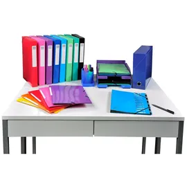 Exacompta Transferbox aus Karton, Rücken 90mm, 25x33cm für DIN A4 - Iderama