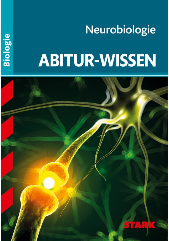 Abitur- Und Prüfungswissen / Stark Abitur-Wissen - Biologie - Neurobiologie - Dr. Thomas Kappel, Kartoniert (TB)