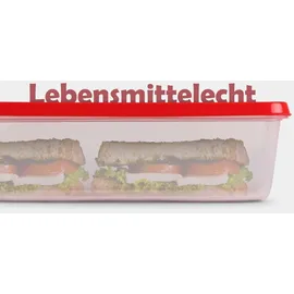Pro Home Frischhaltedose rot 20 x 13 cm 1,25 l 6-teiliges Set