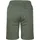 witeblaze Tech Shorts Grün 36